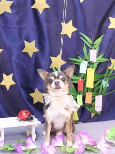 20230701メルくん